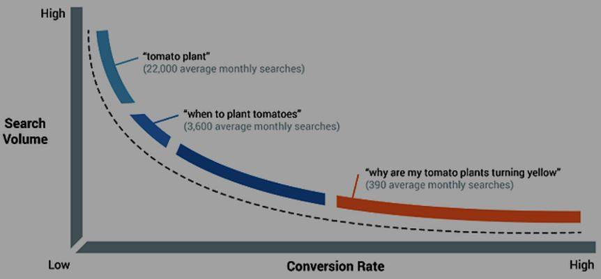 Long Tail Keyword