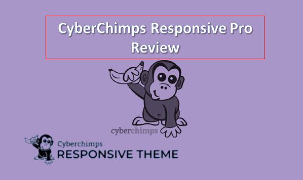CyberChimps Responsive Pro Review