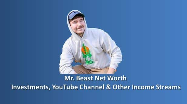 Mr. Beast Net Worth